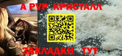 стафф Ставрополь