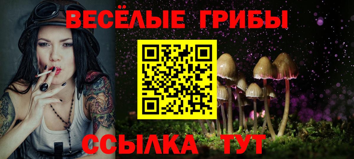 Галлюциногенные грибы GOLDEN TEACHER Муравленко